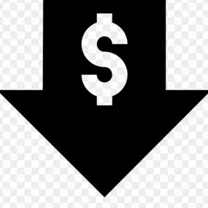 🌸 PRICE DROPPED 🌸